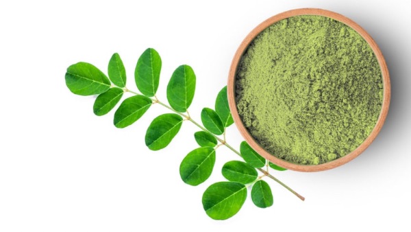 Moringa powder